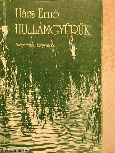 Hullámgyűrűk