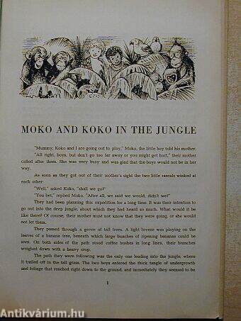 Moko and Koko in the jungle