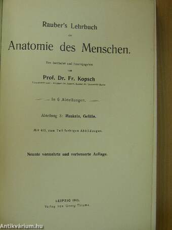 Rauber's Lehrbuch der Anatomie des Menschen Abteilung 3. (töredék)