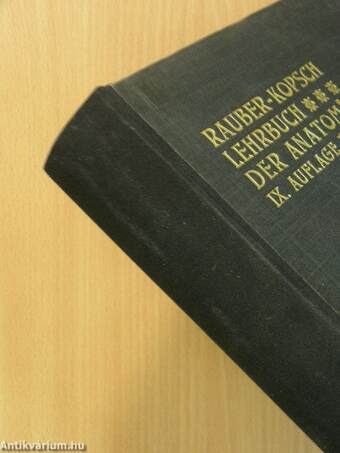 Rauber's Lehrbuch der Anatomie des Menschen Abteilung 3. (töredék)