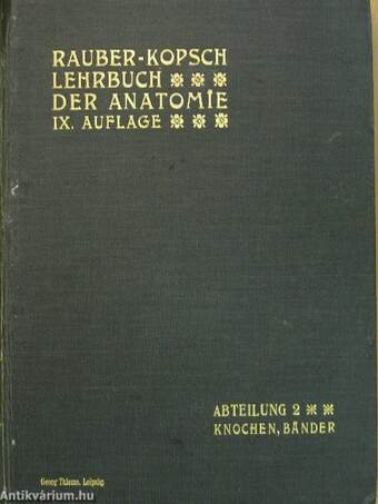 Rauber's Lehrbuch der Anatomie des Menschen Abteilung 2. (töredék)