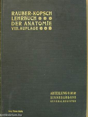 Rauber's Lehrbuch der Anatomie des Menschen Abteilung 6. (töredék)