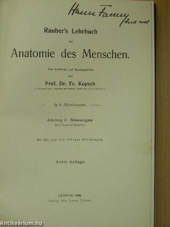 Rauber's Lehrbuch der Anatomie des Menschen Abteilung 6. (töredék)