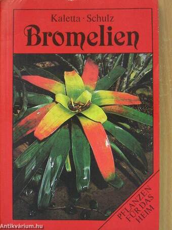 Bromelien