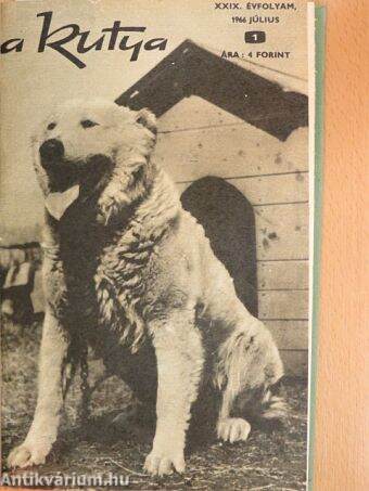 A kutya 1966. július-december