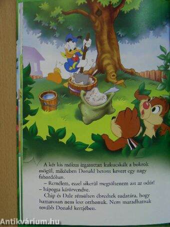 Chip és Dale - Kié is ez a kert?