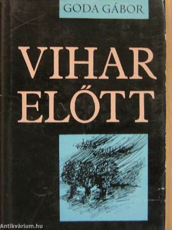 Vihar előtt