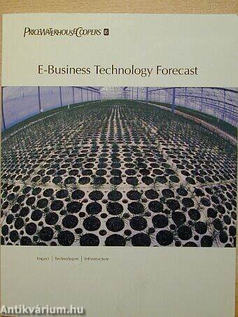 E-Business Technology Forecast