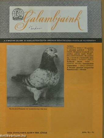 Galambjaink 1989. június