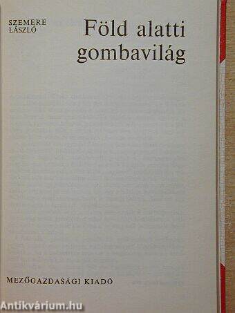 Föld alatti gombavilág