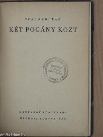 Két pogány közt