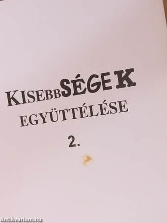 Kisebbségek együttélése 2.