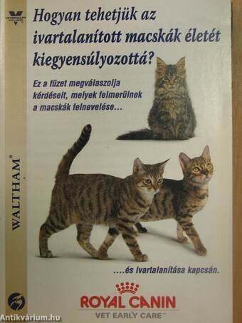 Hogyan tehetjük az ivartalanított macskák életét kiegyensúlyozottá?