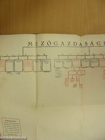 Mezőgazdasági szakoktatásunk kialakulása, fejlődése és mai helyzete