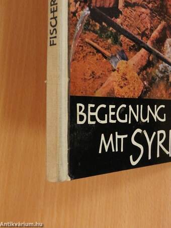 Begegnung mit Syrien