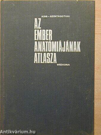 Az ember anatómiájának atlasza III. (töredék)