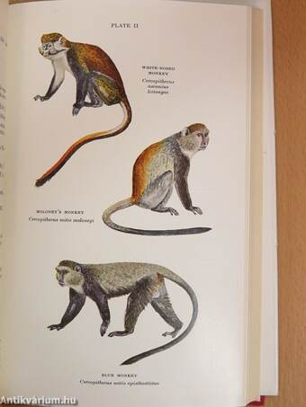 Mammals of Northern Rhodesia