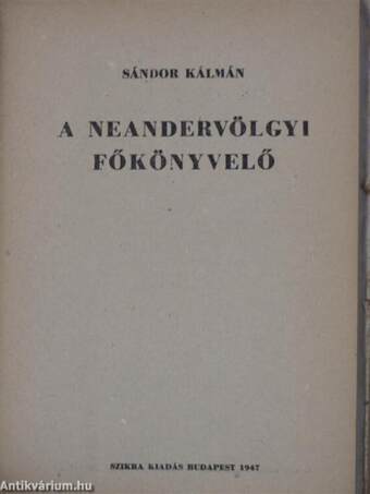 A neandervölgyi főkönyvelő