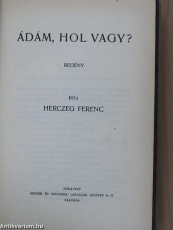 Ádám, hol vagy?