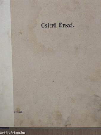 Csitri Erzsi