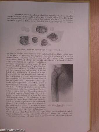 Belorvosi diagnosztika II. (töredék)