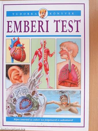 Emberi test