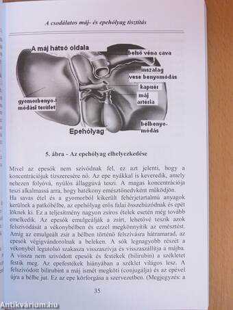 A csodálatos máj- és epehólyag tisztítás
