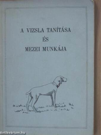 A vizsla tanítása és mezei munkája