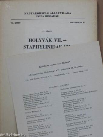 Holyvák VII.