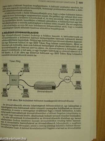 Az intranet bibliája II.