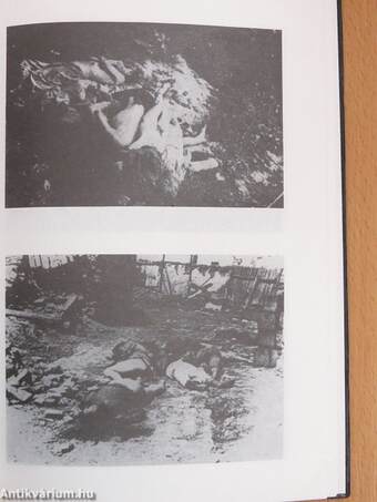 Holocaust in Rumania