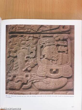 Die Welt der Maya