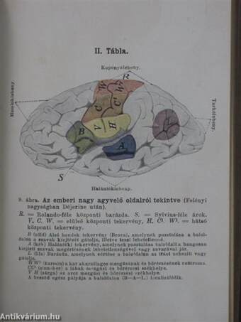 Az idegek és a szellem egészségtana ép és beteg állapotban