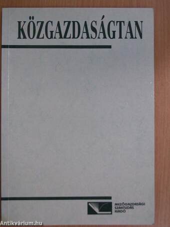 Közgazdaságtan