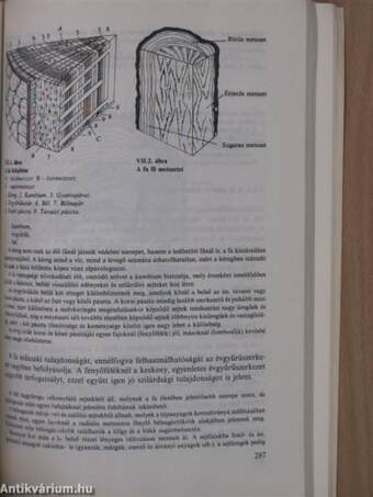 Vegyesiparcikk-áruismeret