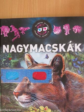 Nagymacskák