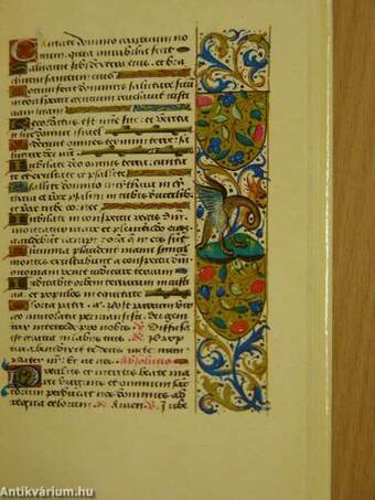 Horae Beatae Mariae Virginis/Die illumination des kodex I-II.