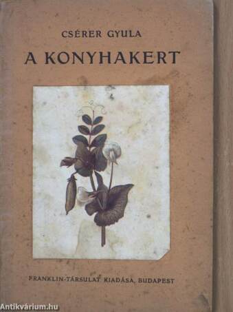 A konyhakert