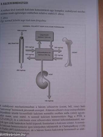 Optimális biszfoszfonát kezelés emlőrákban