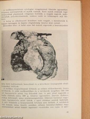 Komárom megyei orvos-napok közleményei 1966