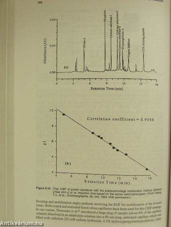 Capillary Electrophoresis