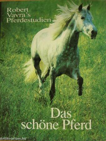 Das schöne Pferd