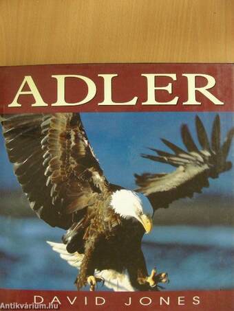 Adler 