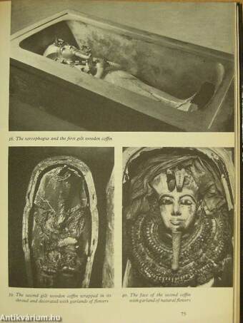 Life and death of a pharaoh Tutankhamen