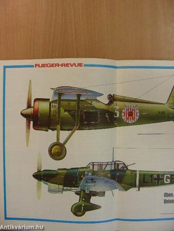 Flieger-Revue 1980/1