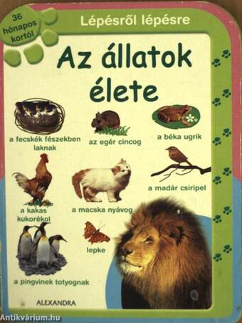 Az állatok élete