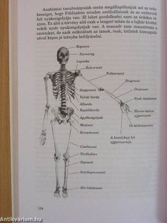 Az éltető masszázs