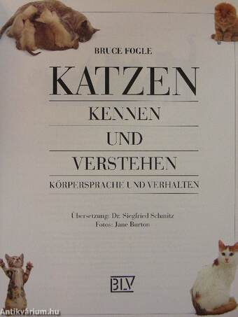 Katzen kennen und verstehen