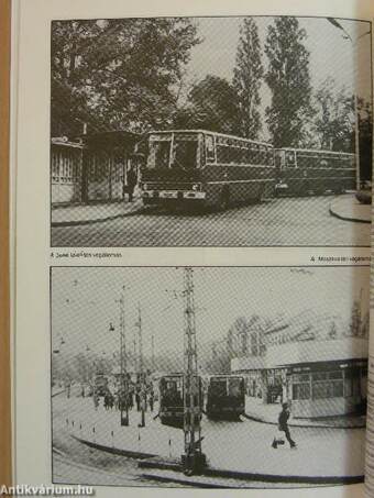 A fővárosi autóbuszközlekedés 75 éve