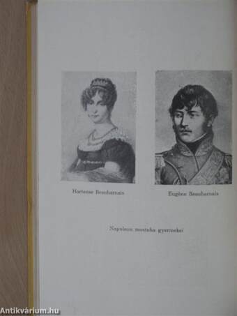 Forradalom és császárság - A Francia Forradalom és Napoleon 5.